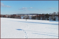 Winter in Wberg 195 Winter in Wberg 195